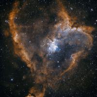 The Heart Nebulae in HOO